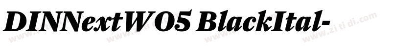DINNextW05 BlackItal字体转换